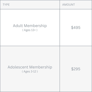 Michels & Gauquie dental wellness plan membership pricing for adults and adolescents